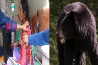 bear-attacked-60-year-old-woman-in-malla-village