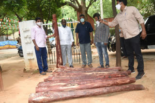 red sandal seazed in railway kodur at kadapa district