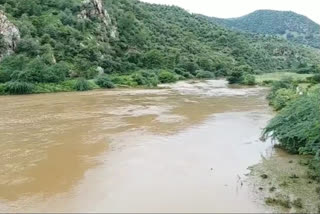 बरसाती नदियों में नजर आया पानी, Water seen in rainy rivers