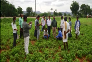 Scientists' tips for kharif farmers