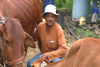 Retired soldier doing natural farming in Rohru