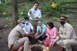 plantation program in mandi