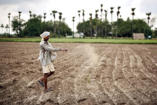 MGNREGA and Agriculture as Saviours during Covid-19  MGNREGA  Saviours during Covid-19  Covid-19  ന്യൂഡൽഹി  തൊഴിലുറപ്പ് പദ്ധതിയും കൃഷിയും  കൊവിഡ്  കൊവിഡ് കാലഘട്ടം