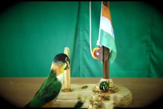 Parrot unfurls the National Flag