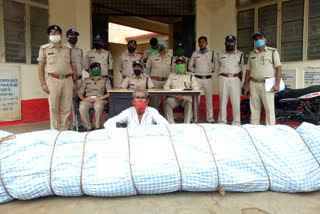 hemp recovered from field worth of  9 lakhs  in Chhatarpur