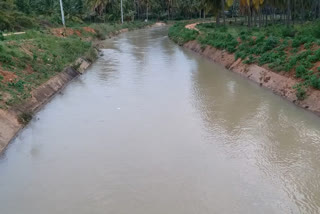 hemavathi rever