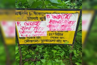 মাও পোস্টার