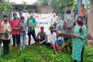 Plantation Program in Purana