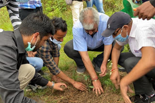 Youth Congress celebrated Independence Day by planting saplings in Shimla