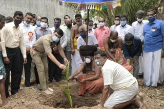 tree_plantation_in_miyawaki_method