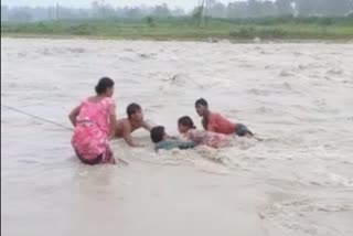 a woman trapped in middle of the river