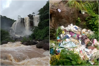 idukki waste issue  idukki waste  idukki waterfalls  ഇടുക്കി വെള്ളച്ചാട്ടം  വെള്ളച്ചാട്ടം മാലിന്യം  ഇടുക്കി