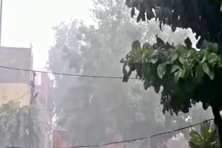 जोधपुर की खबर  जोधपुर में बारिश  जोधपुर मौसम विभाग  सूर्यनगरी में बारिश  etv bharat news  jodhpur news  rain in jodhpur  weather in jodhpur  heavy rain in jodhpur