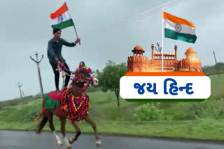 youth show horse stunt in amreli