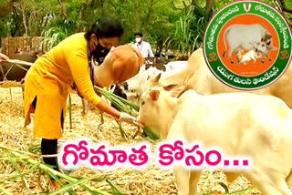 yuga thulasi foudation started selfi with cow challenge