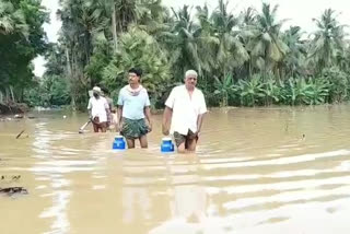 godavari floods in east godavari district