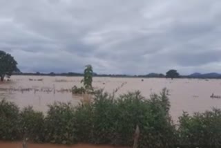 heavy rain in dhenkanal