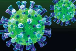 S. Korea reports largest virus jump since March