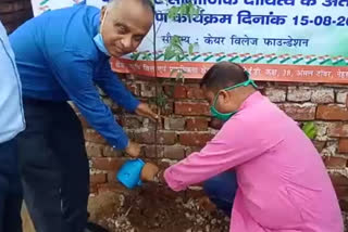 Plantation drive conducted by Canara Bank at Bakkarwala in delhi