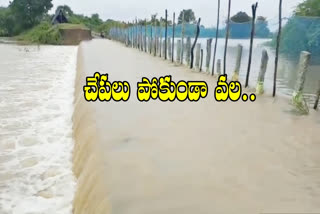 Floating pond at khammam district losing fishermen