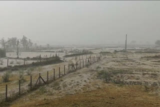 Heavy rain in Bemetra