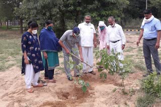 mp dp vats planted sapling on atal biharis death anniversary in hisar