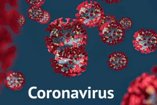 coronavirus in solan