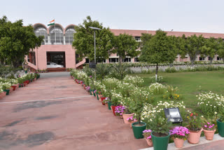 Sonipat dcrust admission