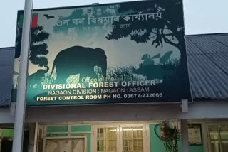 Saw mill seized nagaon forest department