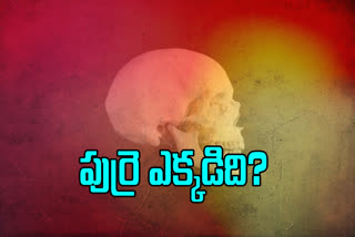 skull-in-vishaka-district-rellivedhi andhrapradesh