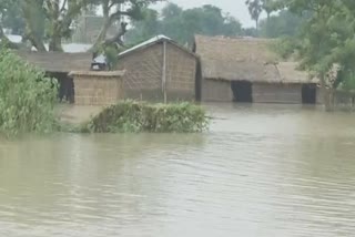 bihar flood situation