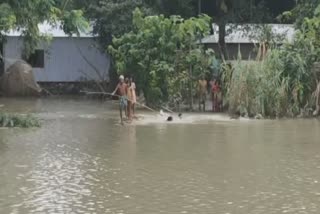 Assam flood situation improves marginally, over 11,000 people affected in 3 districts