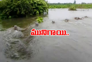 go-to-srsp-canal-submerged-crop-fields