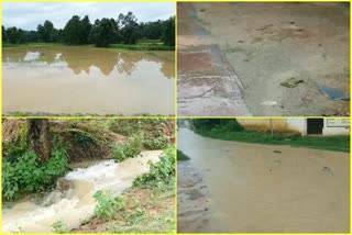 rain-continues-in-shahdol