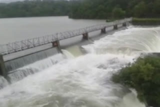 four gates of Radhanagari Dam opened authority said to Villagers have to be alert