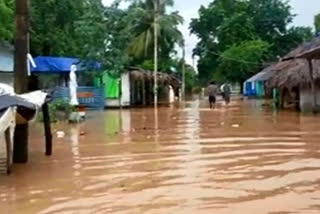 godavari floods in west godavari villages