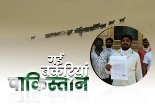 Rajasthan News,  goats of border villages go to pakistan,  pakistan,  farmers submitted memorandum