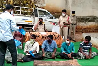 Seven red sandalwood logs seized at Anumpalli check post