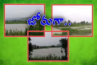 heavy rain in adilabad tanks canals ponds full with water