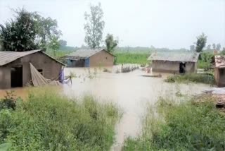 House submerged