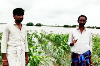 Flood anxiety among people on the sorely of the Krishna River