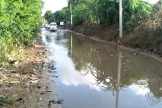 Nagaur Rains News, नागौर बारिश न्यूज