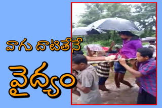 పురిటి నొప్పులతో గర్భిణీ అవస్థలు...కర్రల సాయంతో వాగుదాటించిన వైనం