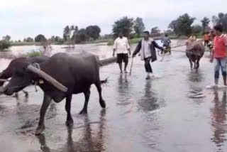 Flood situation in Chikkodi