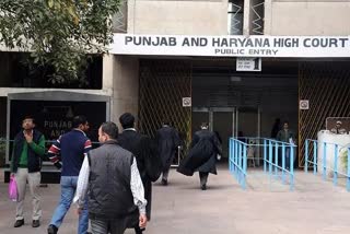 punjab haryana high court