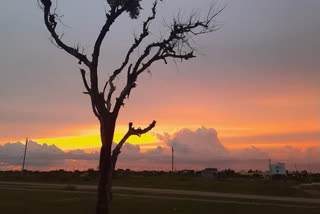 ವಿಶ್ವ ಛಾಯಾಗ್ರಹಣ ದಿನ