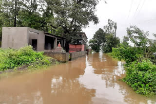 koyna dam