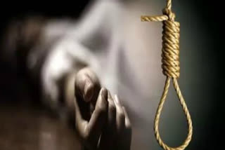 woman commits suicide in businessman house at rohini delhi