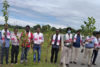 birthday plantation at Morigaon by nature lover kalpojoyti sandilya