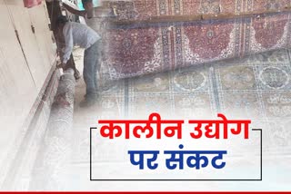 Carpet business, धौलपुर न्यूज